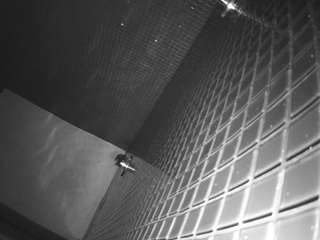 voyeurcam jb shower 15